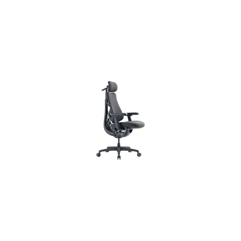 LiberNovo Omni GEN 45 cm Ergonomic Chair (Graphite)
